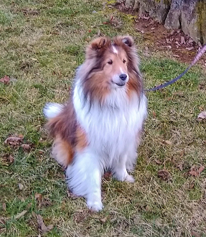 Millbrook Farms HOA in Emmaus, PA