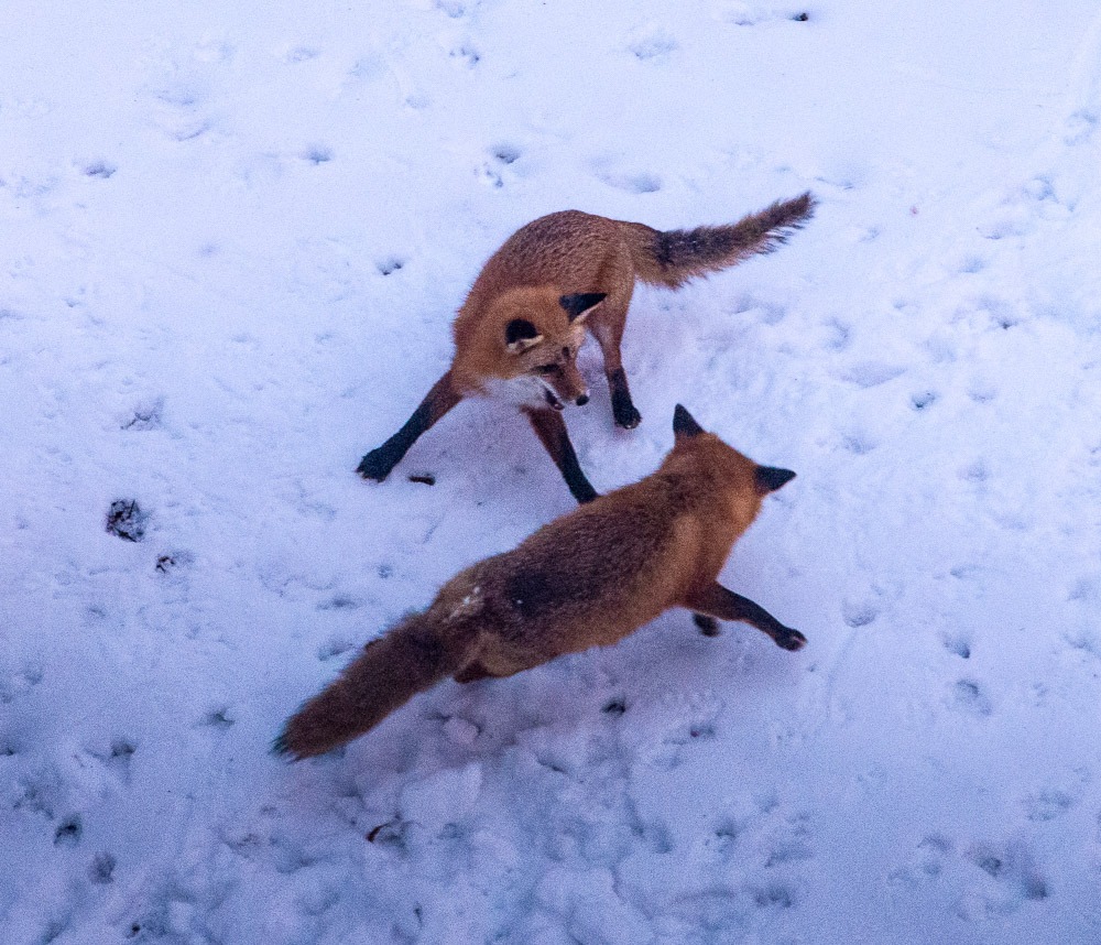 Millbrook Farms HOA in Emmaus, PA