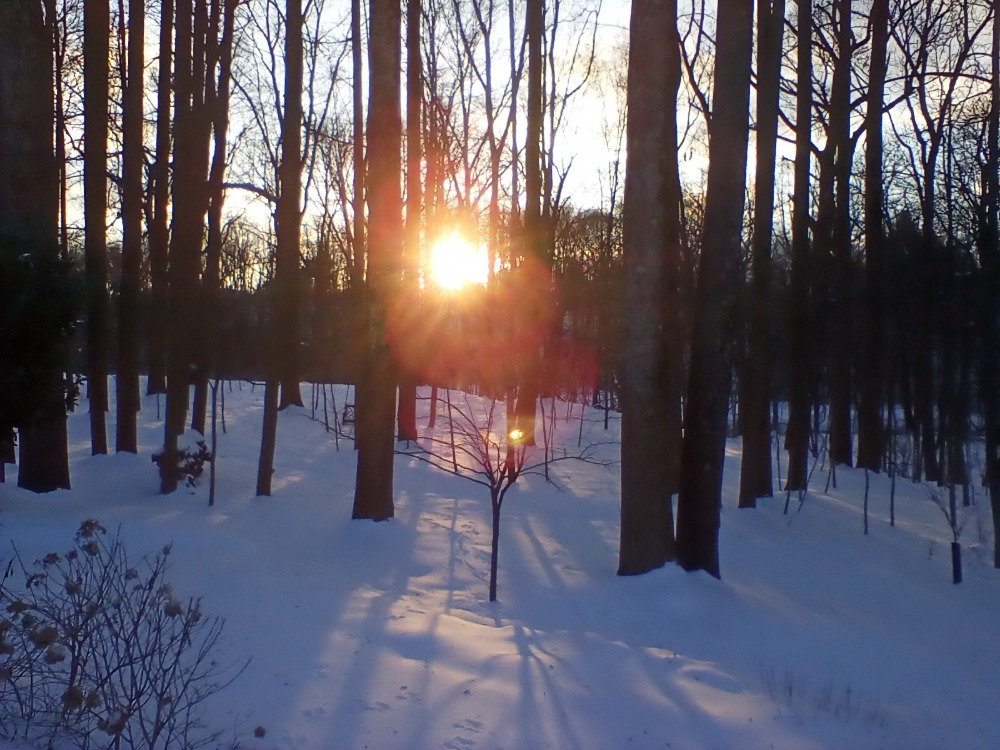 Millbrook Farms HOA in Emmaus, PA
