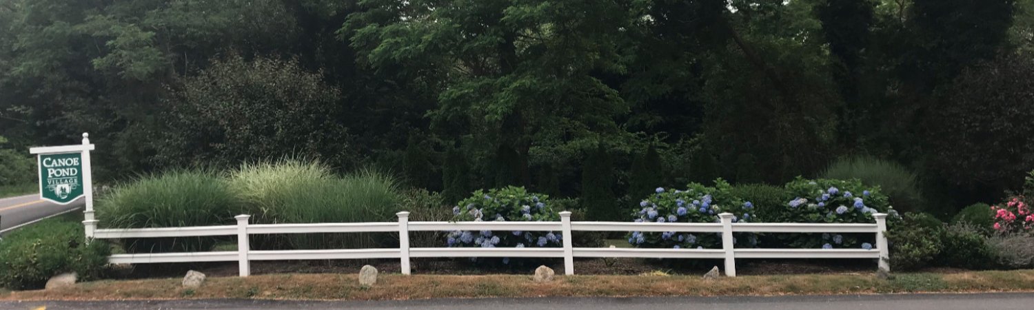 Banner photo