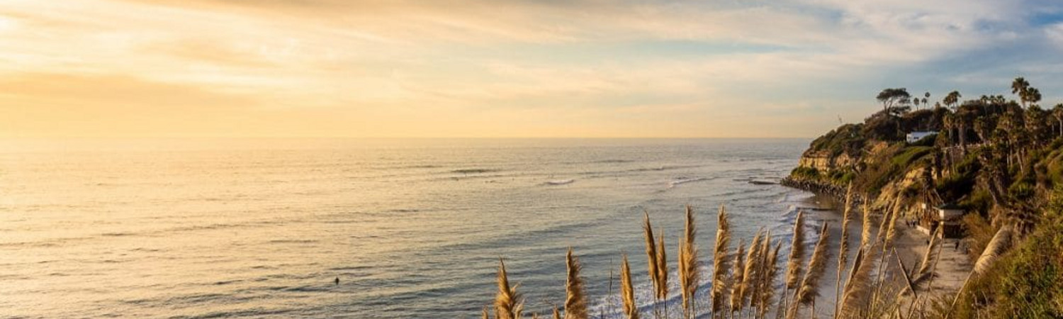 Banner photo