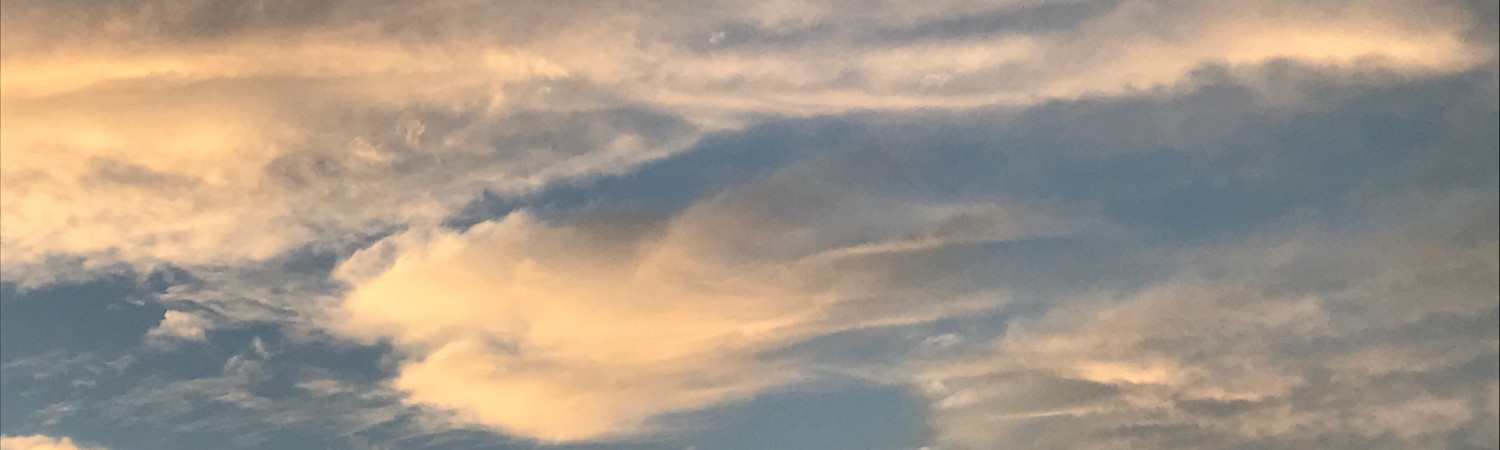Banner photo
