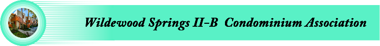 Wildewood Springs II-B Condominium Association