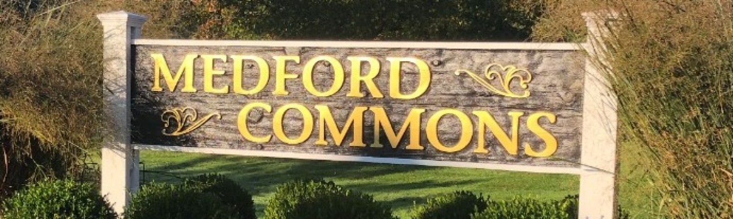 Banner photo