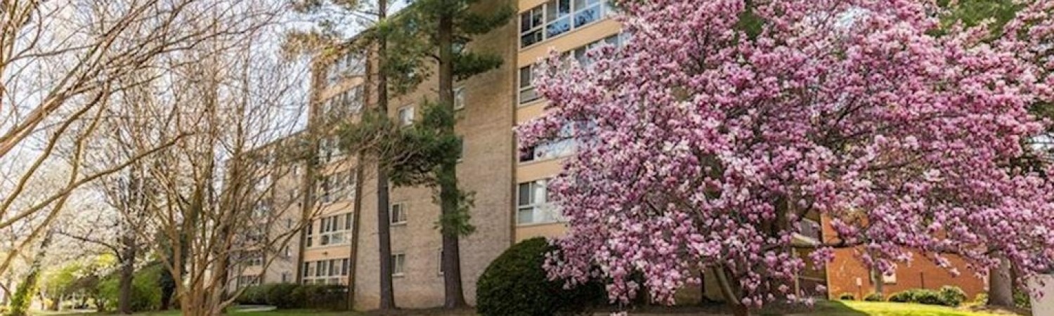 Banner photo