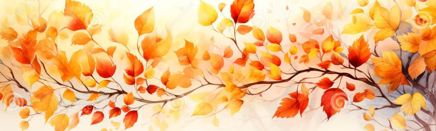 Banner photo