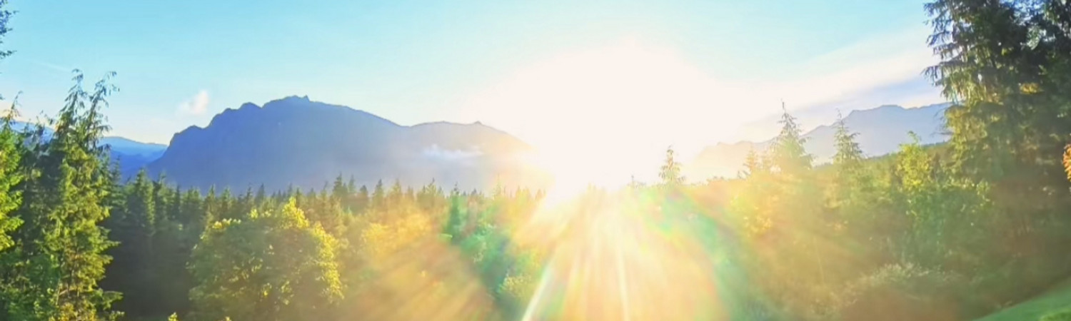 Banner photo