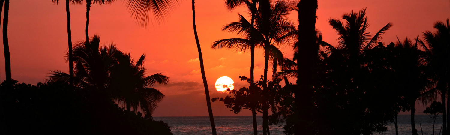 Banner photo
