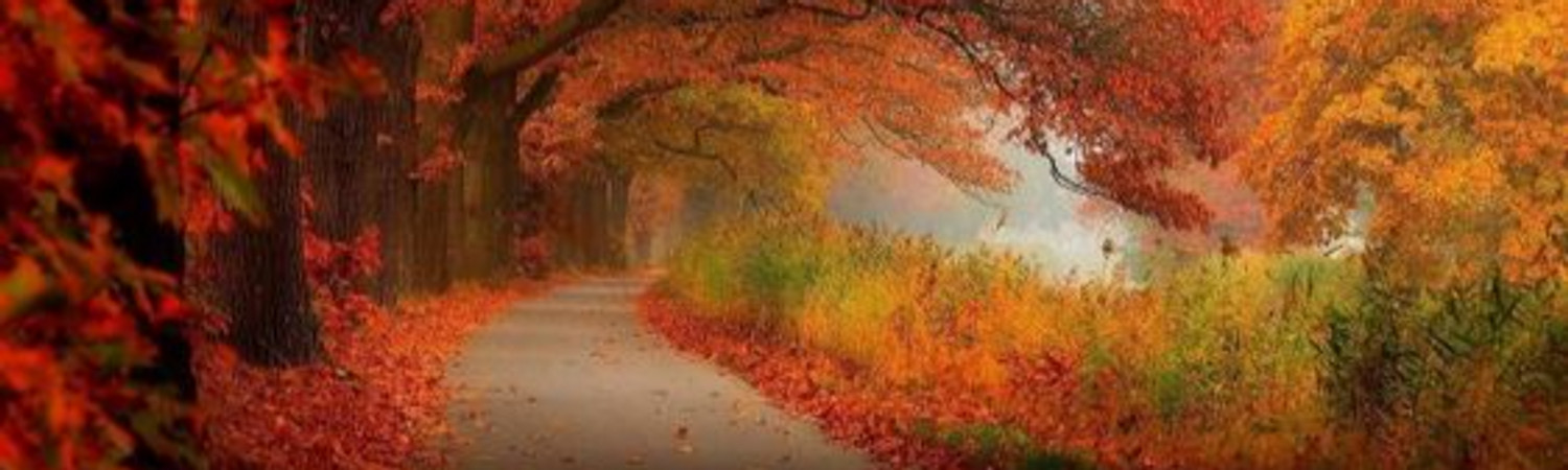 Banner photo
