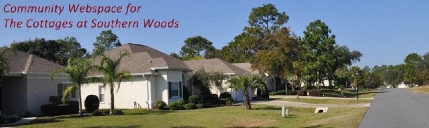 Banner photo