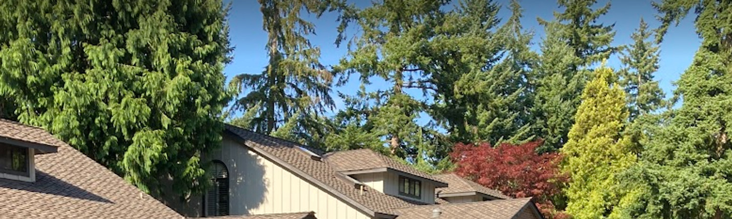 Banner photo