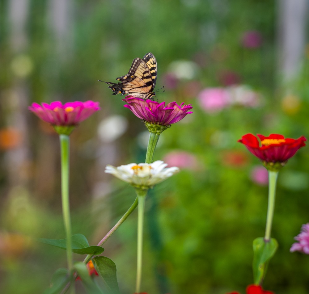 Gardiner Park HOA HOA in Louisville, KY