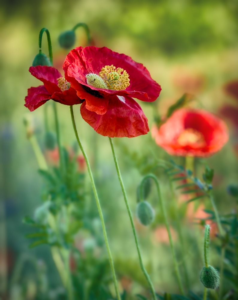 Gardiner Park HOA HOA in Louisville, KY