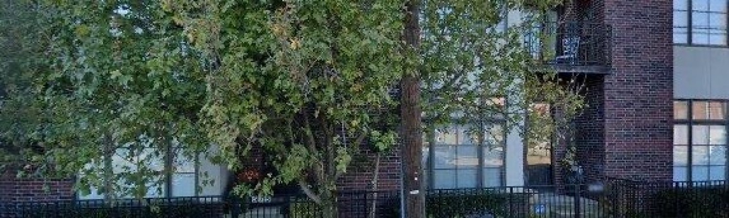 Banner photo