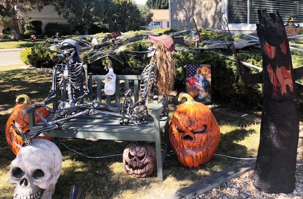 PHOTOS: Trick or treat! Halloween comes to Fernwood in January