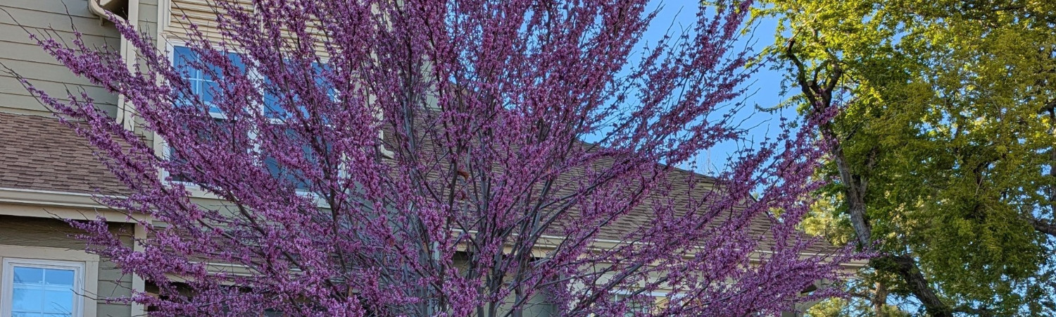 Banner photo