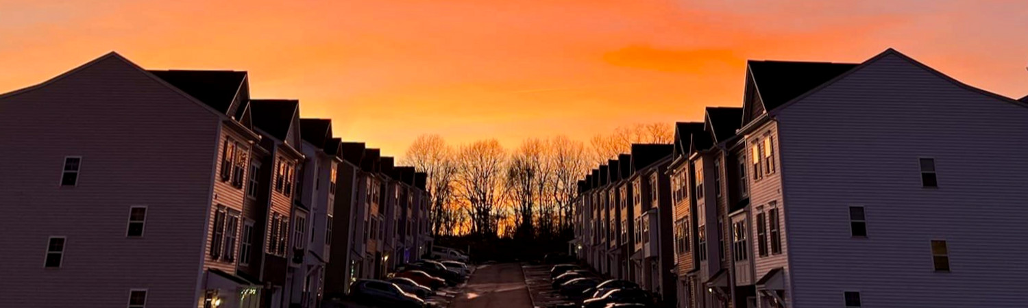 Banner photo
