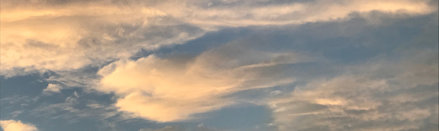 Banner photo