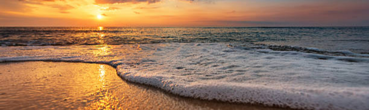 Banner photo