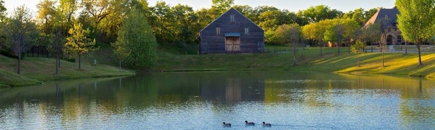 Banner photo