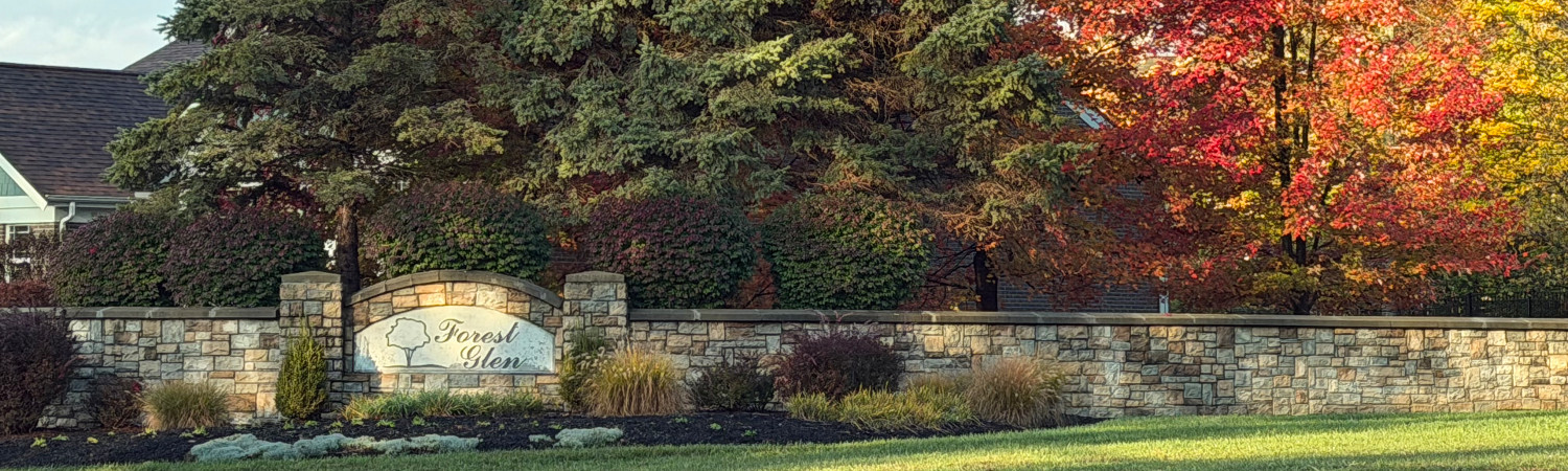 Banner photo