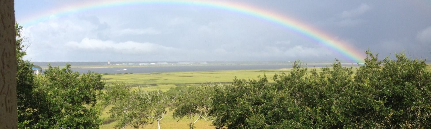Banner photo