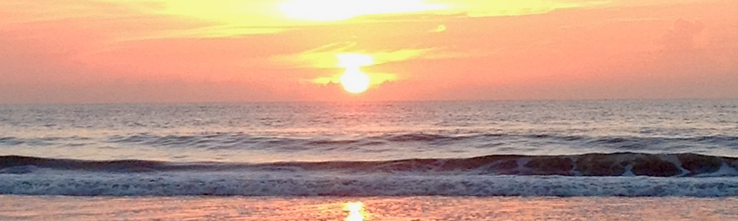 Banner photo