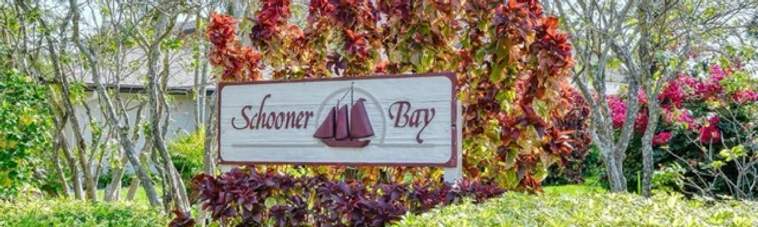 Banner photo