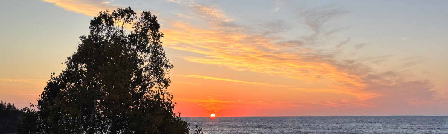 Banner photo