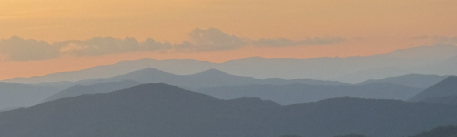 Banner photo