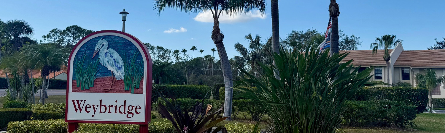 Banner photo