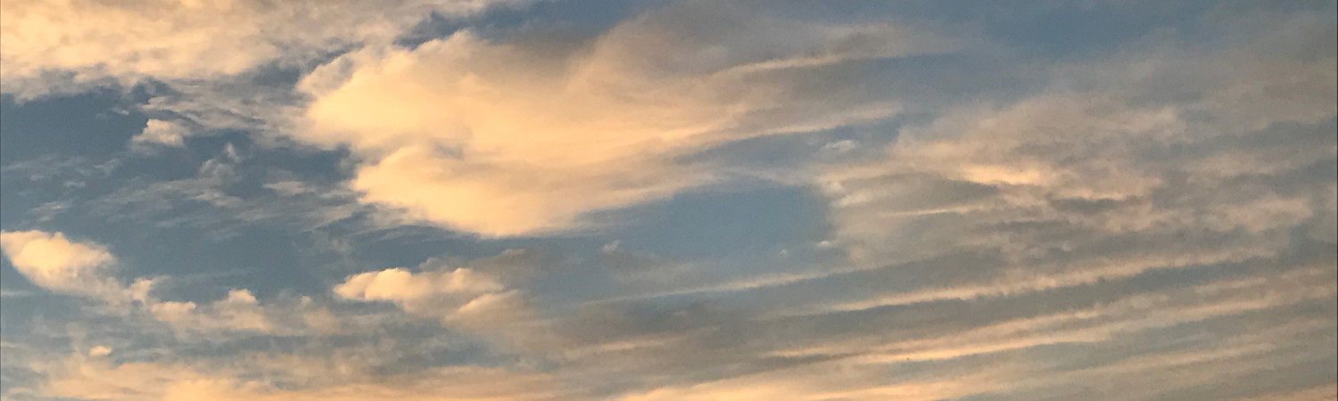 Banner photo