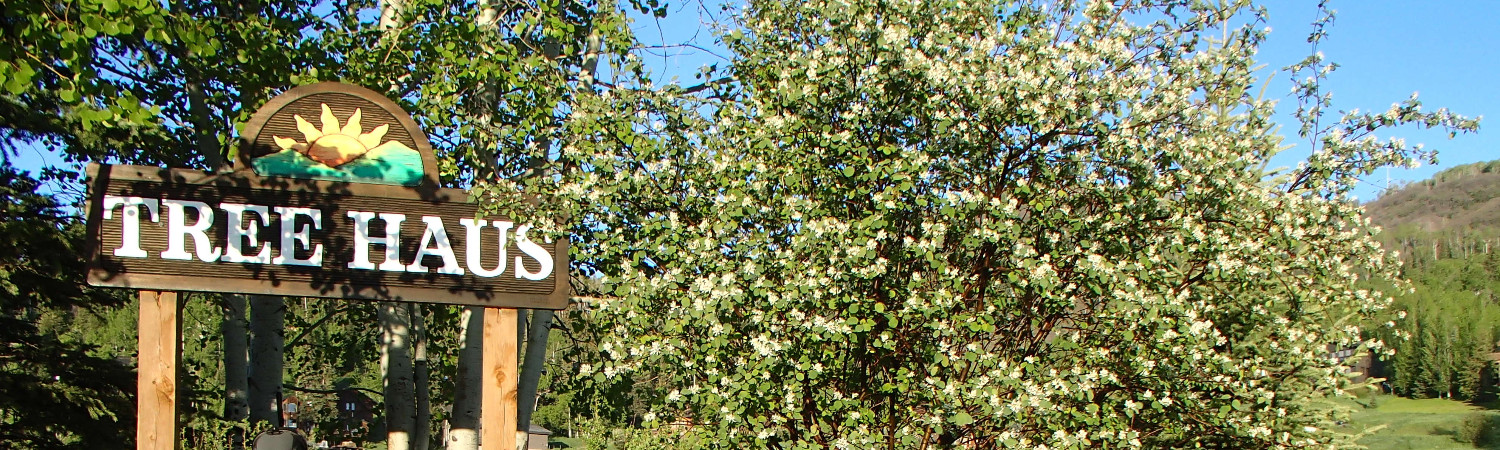 Banner photo
