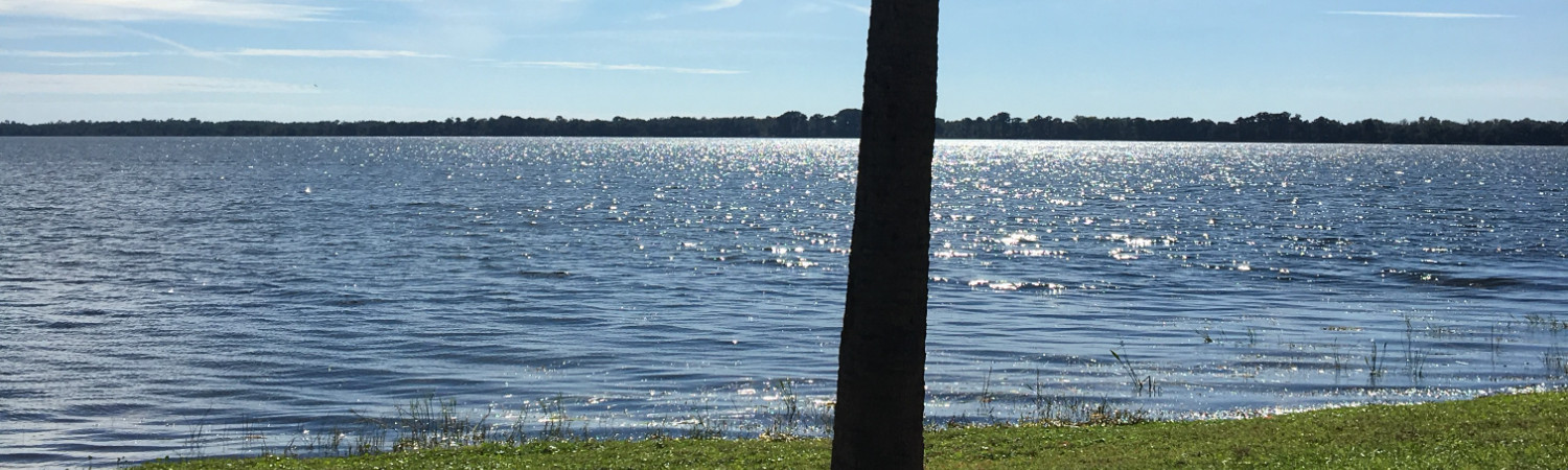 Banner photo