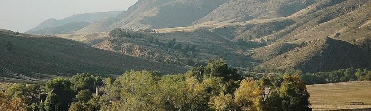 Banner photo