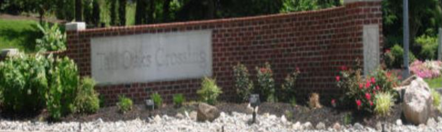 Banner photo