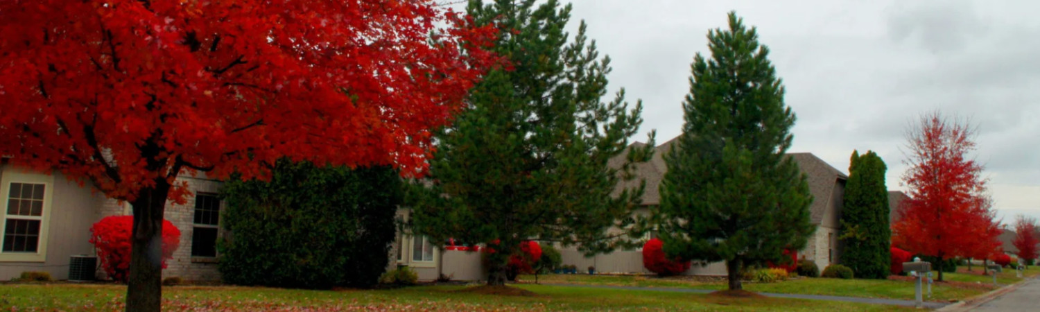 Banner photo