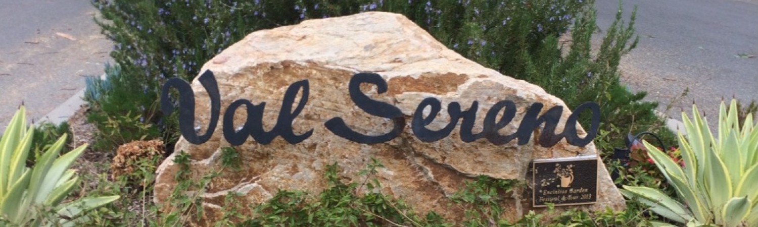 Banner photo