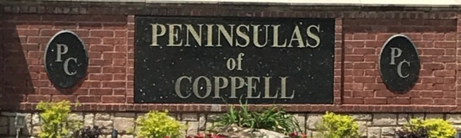 Banner photo
