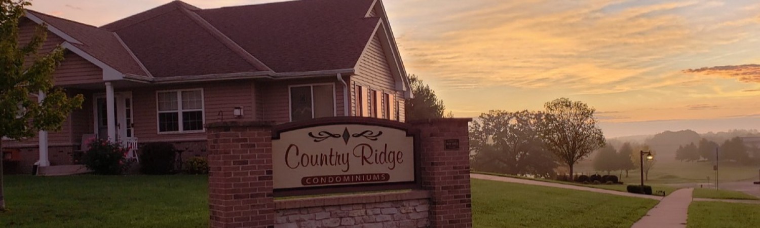Banner photo