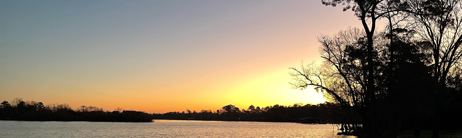 Banner photo