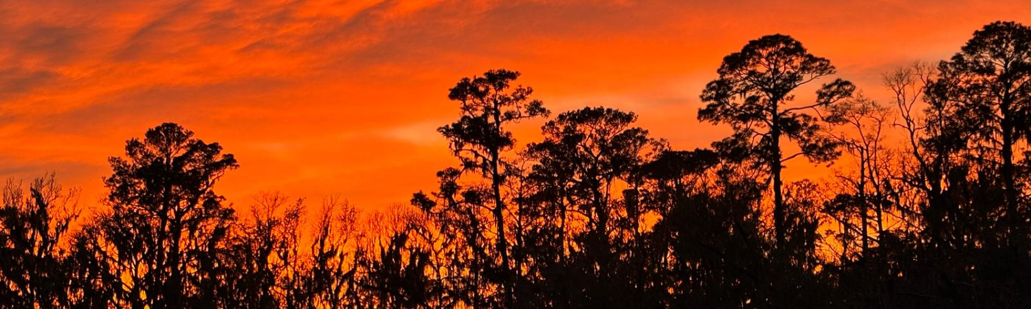 Banner photo