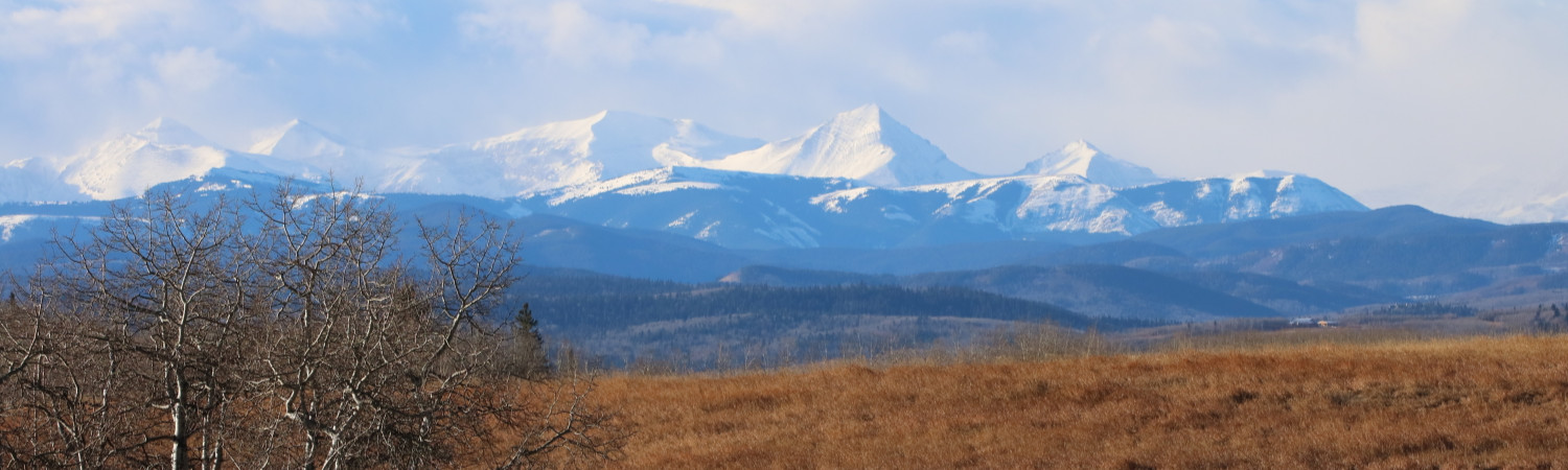 Banner photo