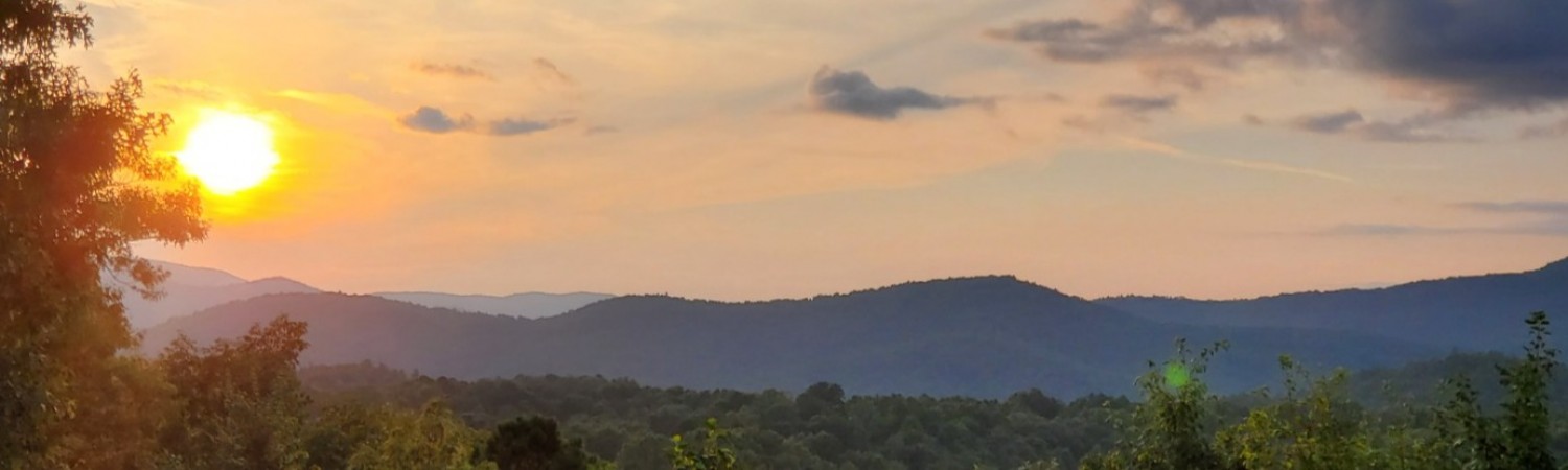Banner photo