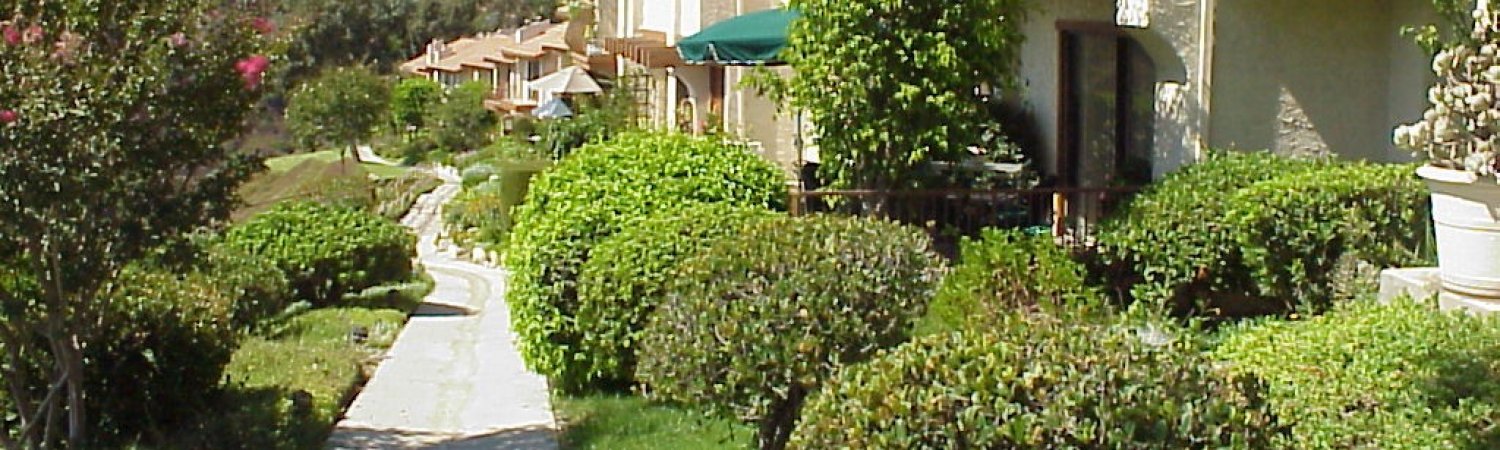 Banner photo