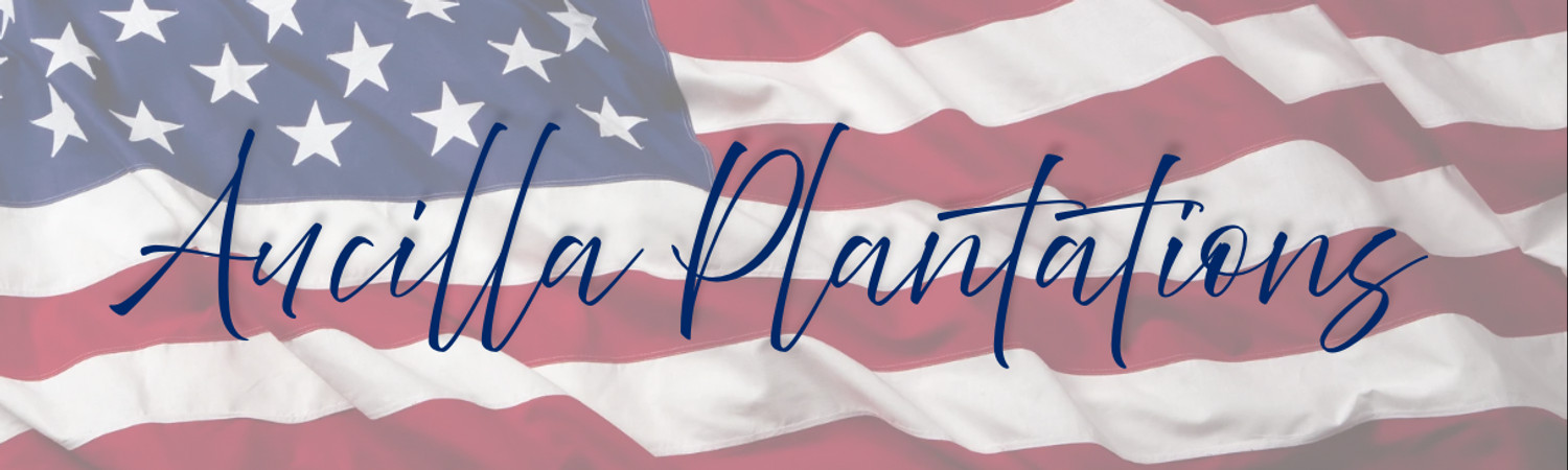 Banner photo
