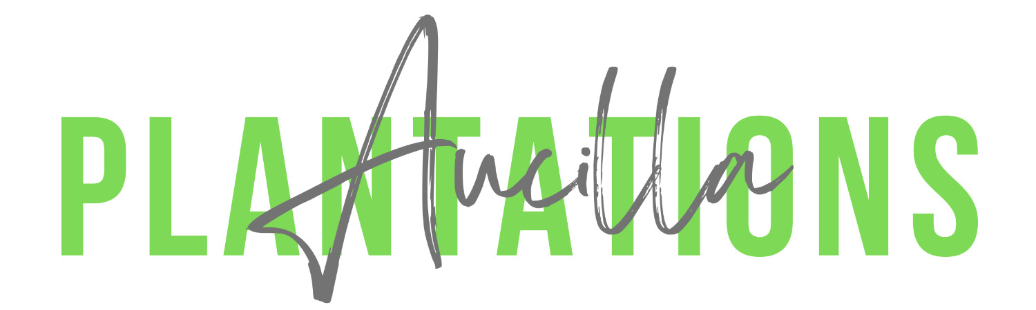 Banner photo