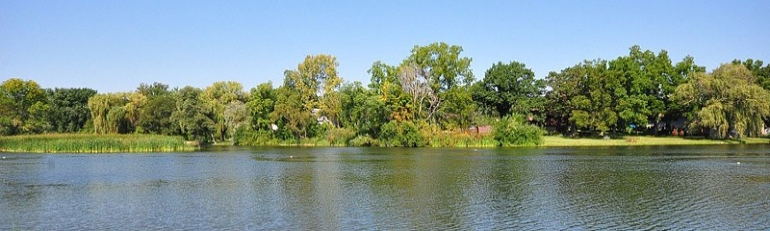Banner photo