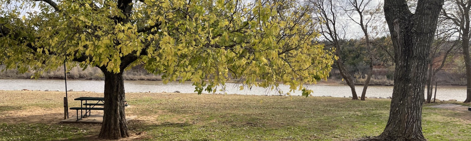 Banner photo