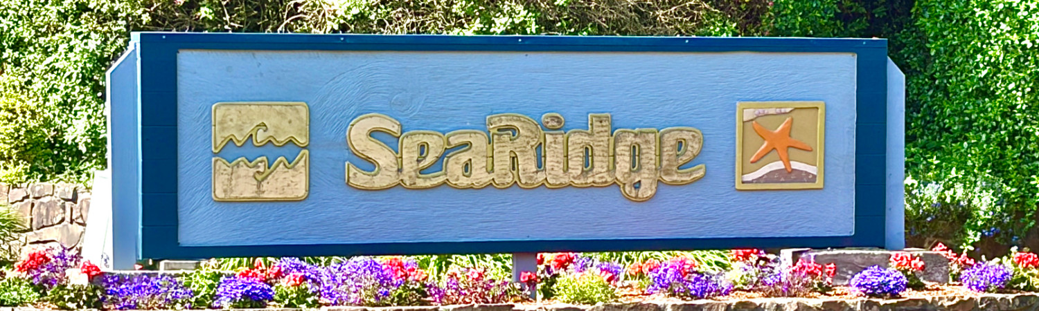 Banner photo